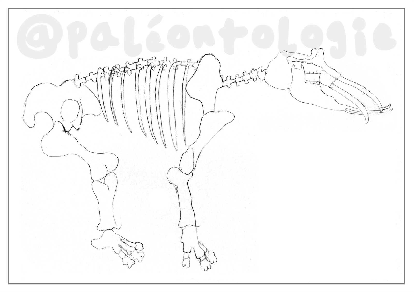 PALEO 14
