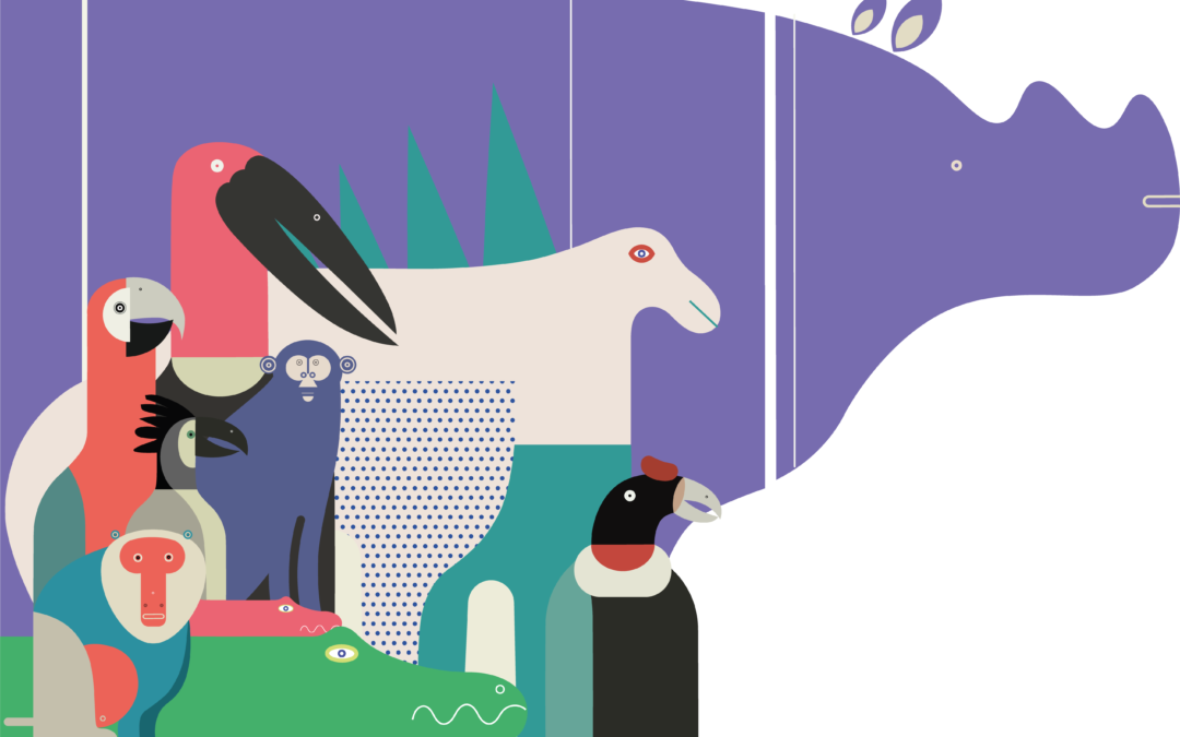 Affiches du musée de Picardie